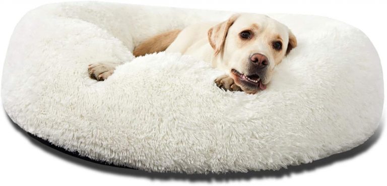 Dog Beds: Bring The Best Night Sleep To Your Friends