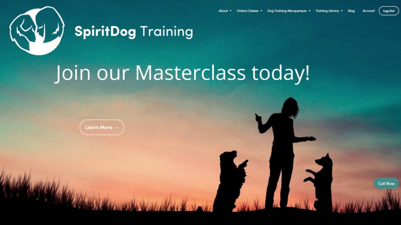Spirit Dog Training Review