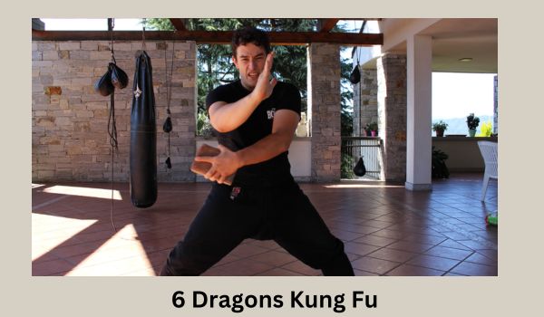 6 Dragons Kung Fu