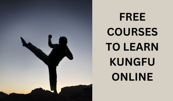 free courses to learn kungfu online