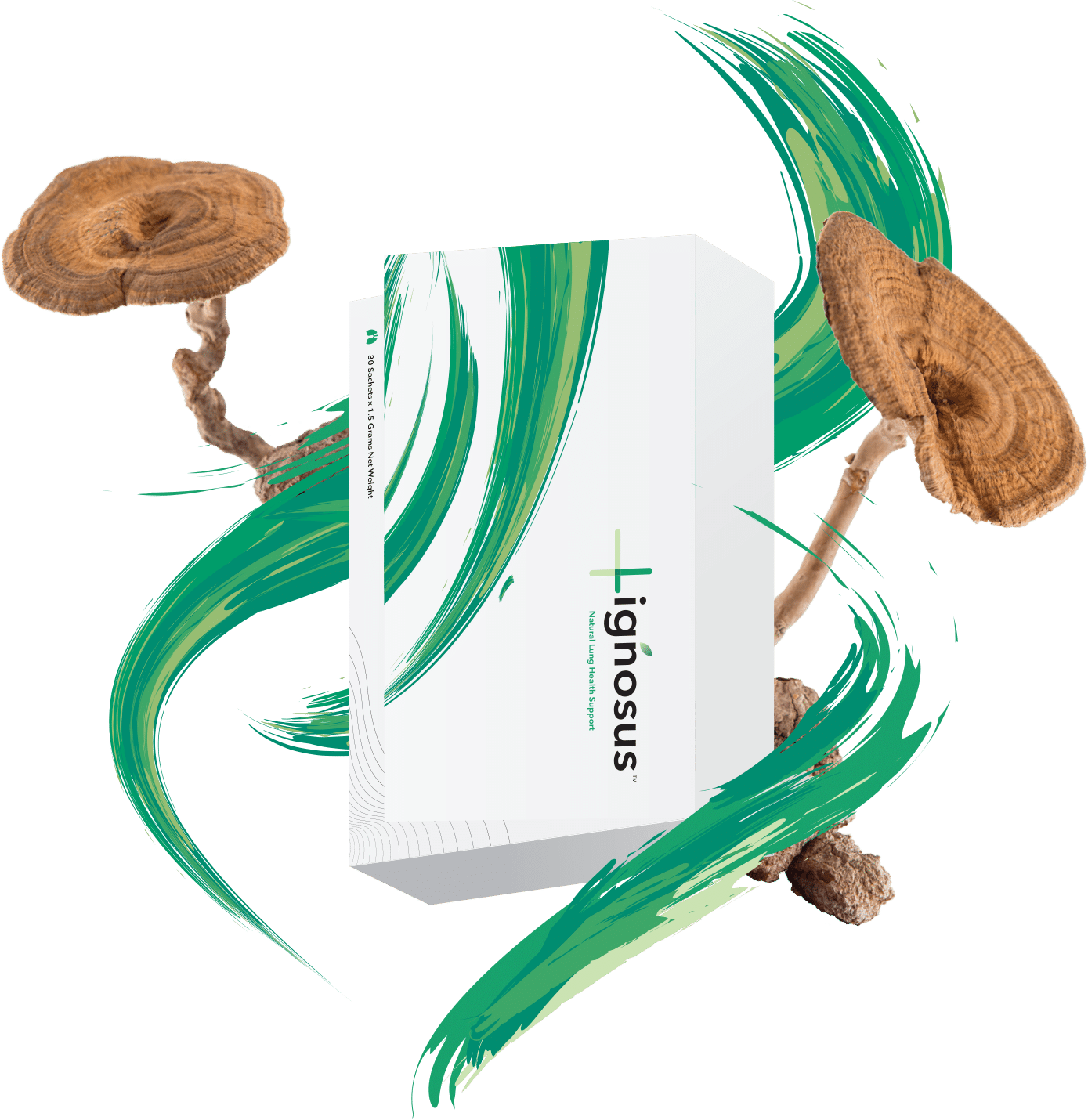 product-twistwithmushroom-ignosus